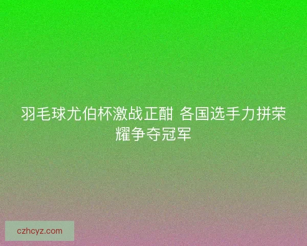 羽毛球尤伯杯激战正酣 各国选手力拼荣耀争夺冠军 羽毛球尤伯杯激战正酣 各国选手力拼荣耀争夺冠军